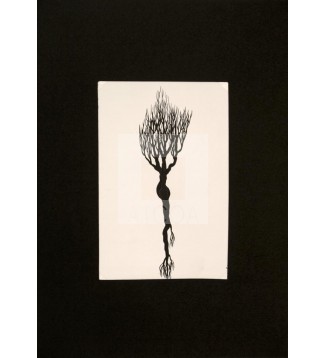 Raíces, Serie 4, Dibujo 3