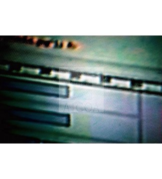 Tvus (15)
