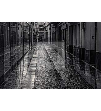 CALLE 19