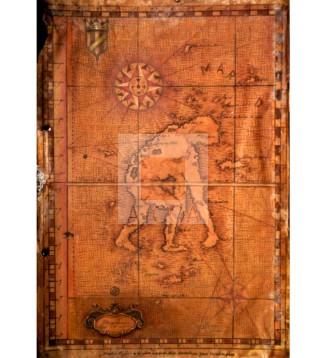 ATLAS DEL ORIGEN Y EVOLUCION DEL HOMBRE (DETALLE 1)