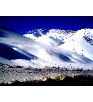 Penitentes