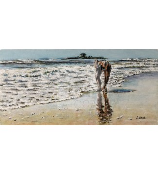 Regalo del mar. Estudio