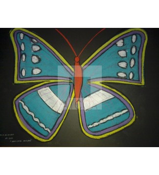 MARIPOSA MORPHOS