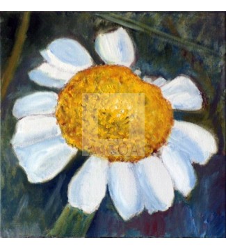 SOLEDAD