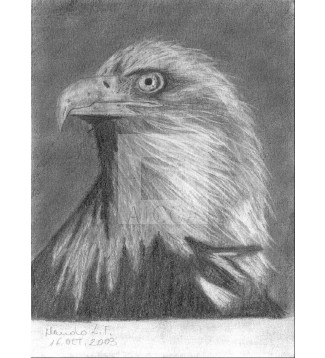Aguila