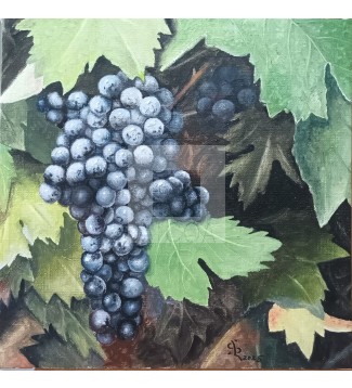Aromas de frutos rojos