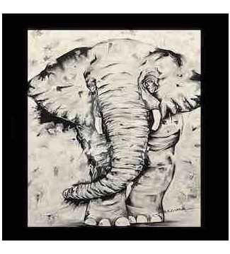 Elefante B/N