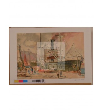 PORT, PESCADORS, BARCELONA 1950