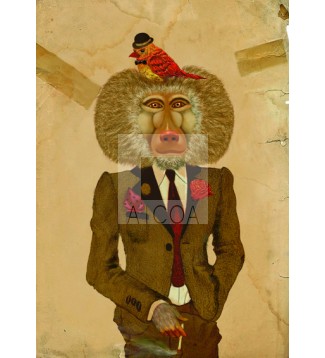Wilbur el babuino