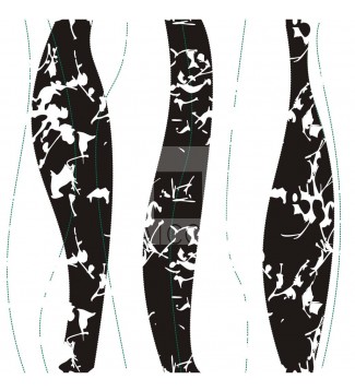Formas Naturales C3