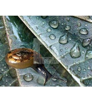espacio de naturaleza