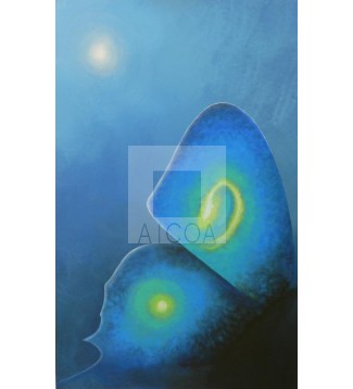 Mariposa nocturna