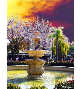 Fuente 1