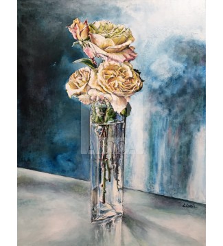 Estudio de 4 rosas amarillas sobre fondo azul