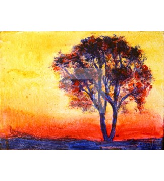atardecer solitario