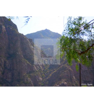 Montaña 1