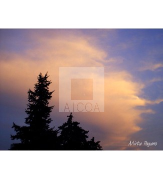 Cielo de noviembre