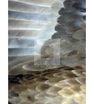 ala