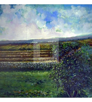 paisaje