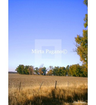 Paisaje 2009