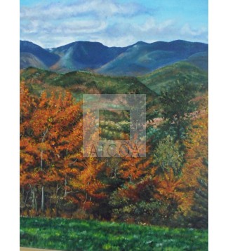 Paisaje de montaña