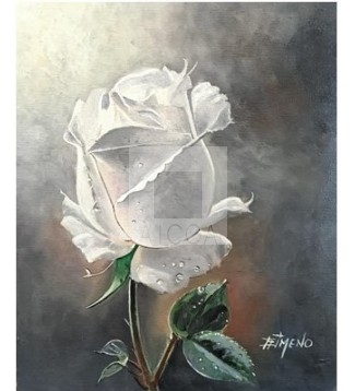 ROSA BLANCA