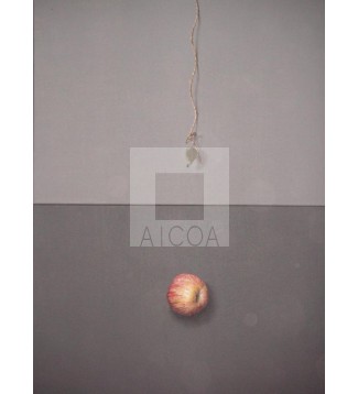 Manzana cayendo