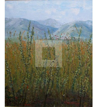 Paisaje con pueblo