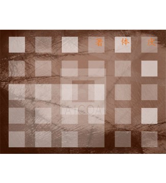 Escrito sobre el cuerpo 13