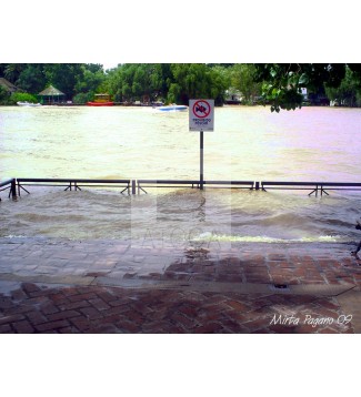Río crecido