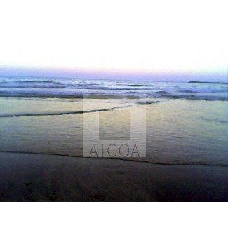 Mar del Plata 3