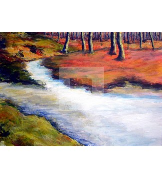 confluencia de arroyos
