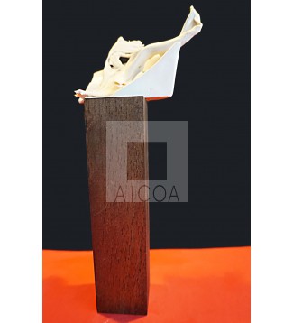 CON FRAGMENTOS PORCELANA