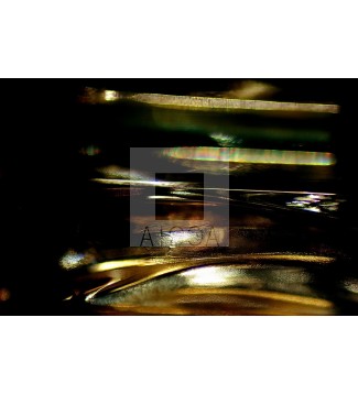 DE PROFUNDIS (14)