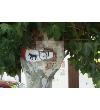 " Arbol come chapas"