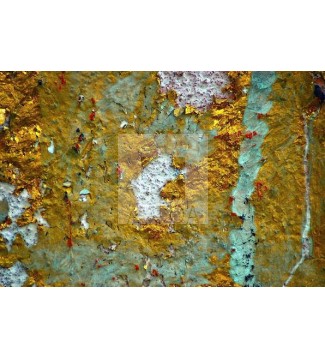 Vulcana (6)