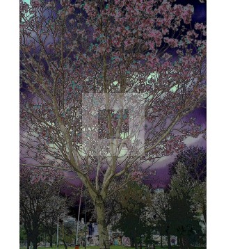 Arbol 4