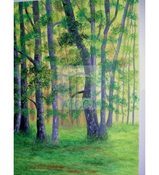 PAISAJE