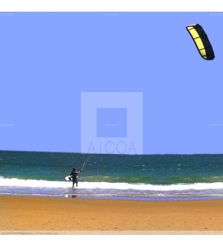 Playa -Surf