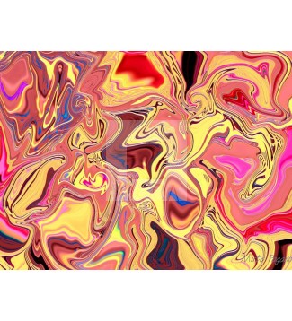 Movimiento 41