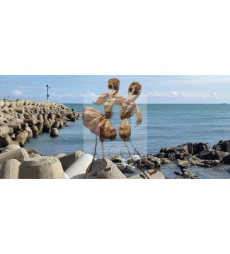 BUSAN TURISTAS NATURALES 