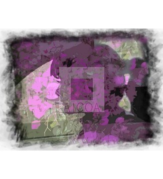 Perfil de bugambilia