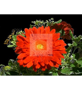 Flor 20