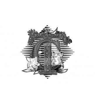 Coccinotti Team Logo