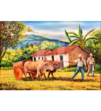 casa campesina Costa Rica 