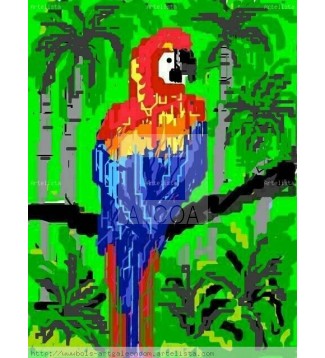 Guacamayita tricolor,