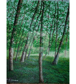 PAISAJE