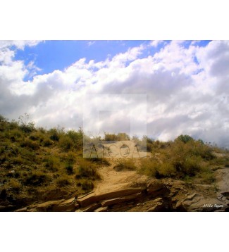 Potrerillo paisaje 6
