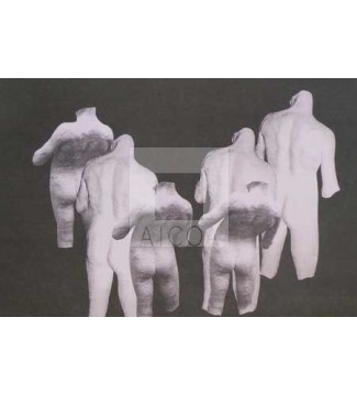 HOMOSEXUS