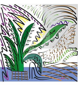5-Plantas